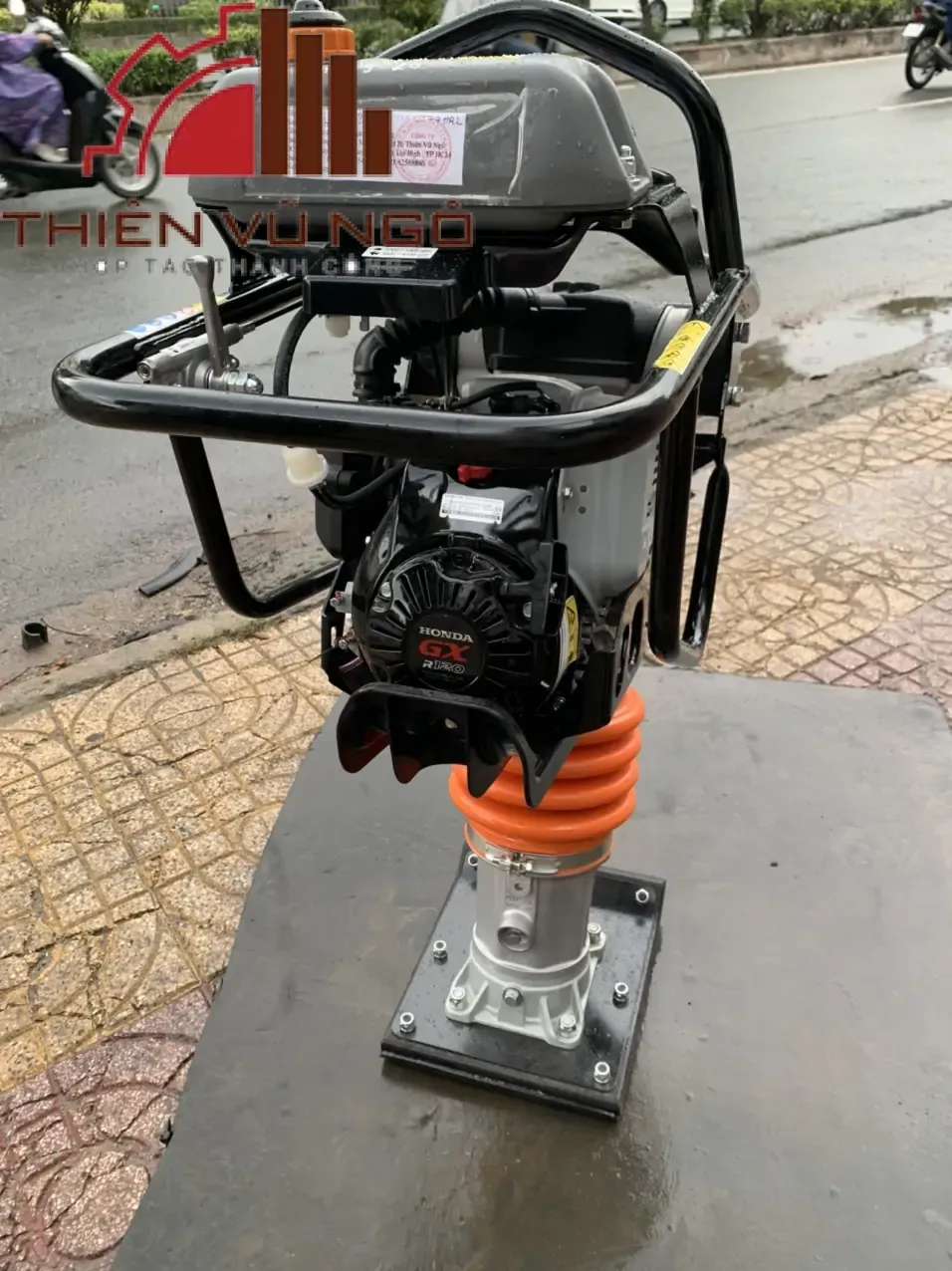 B&aacute;o Gi&aacute; M&aacute;y Đầm C&oacute;c Mikasa MT66HL Mới Nhất 
